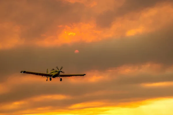 アレクサンドロポリス エブロス ギリシャの荒廃した山火事 空爆飛行機のシルエット 煙が空を覆い 日没の色 — ストック写真