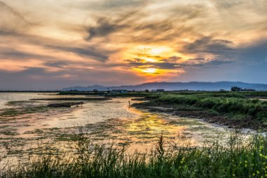 Yunanistan 'ın Trakya kentinde Feres ve Dedeağaç yakınlarındaki Bataklık Ulusal Parkı Delta Evros' ta gün batımı.