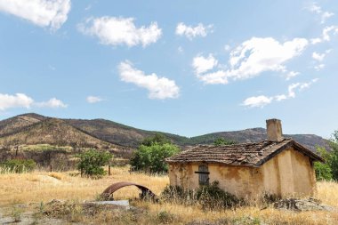 Dedeağaç Evros Yunanistan yakınlarındaki Kirki köyündeki yıkıcı orman yangını, ekolojik ve çevresel felaket, Parnitha, Evia, Euboea.