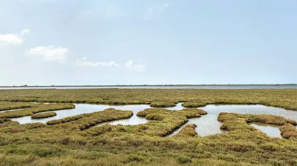 stock image Panoramic view of Delta Evros National park, importamt wetland for bird migration, near Greek Turkish border.