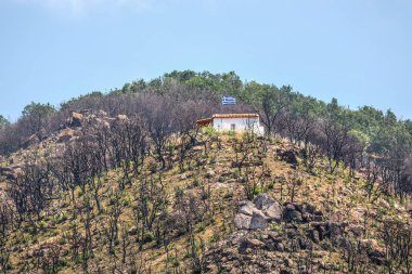 Devastating wildfire in Kirki village near to Alexandroupolis Evros Greece, ecological and environmental disaster, Parnitha, Evia, Euboea. clipart