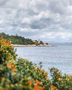 Preveza yakınlarındaki İyon Denizi 'ndeki Fiskardo Kefalonia Yunan adasına seyahat edin. Yaz tatili. Bulutlu gökyüzü ve ön planda kırmızı çiçekler.