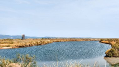 Delta Evros Ulusal Parkı panoramik görünümü, Yunanistan sınırı yakınlarındaki kuş göçü için ithal sulak alan.