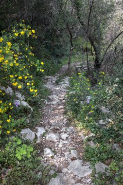 Yunanistan 'da Xanthi ve Rodopi Dağı yakınlarındaki Nestos nehrinde doğa faaliyetleri, yürüyüş, kano ve rafting, panoramik manzara.