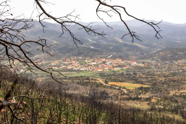 Yunanistan 'ın Kirki Evros köyü büyük çaplı orman ve dağ restorasyonu ve çevre felaketinden sonra toparlanıyor.