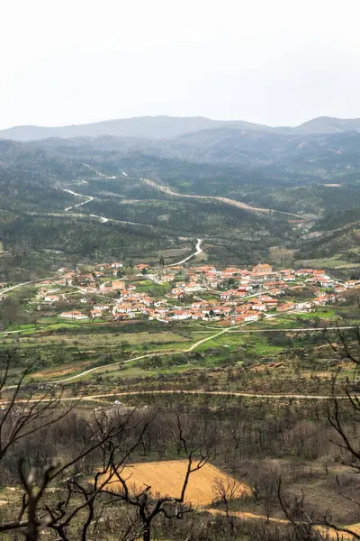 Yunanistan 'ın Kirki Evros köyü büyük çaplı orman ve dağ restorasyonu ve çevre felaketinden sonra toparlanıyor.