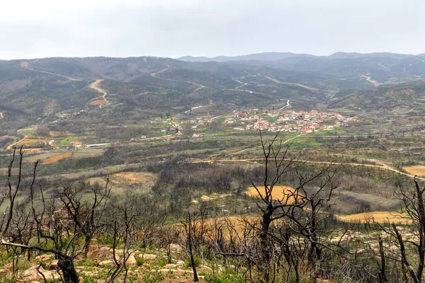 Yunanistan 'ın Kirki Evros köyü büyük çaplı orman ve dağ restorasyonu ve çevre felaketinden sonra toparlanıyor.