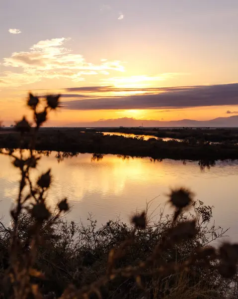 Yunanistan 'ın Trakya kentinde, Türk sınırları yakınlarındaki Feres ve Dedeağaç yakınlarındaki Sulak Ulusal Park Delta Evros' ta güzel bir gün batımı veya gün doğumu manzarası, panoramik.