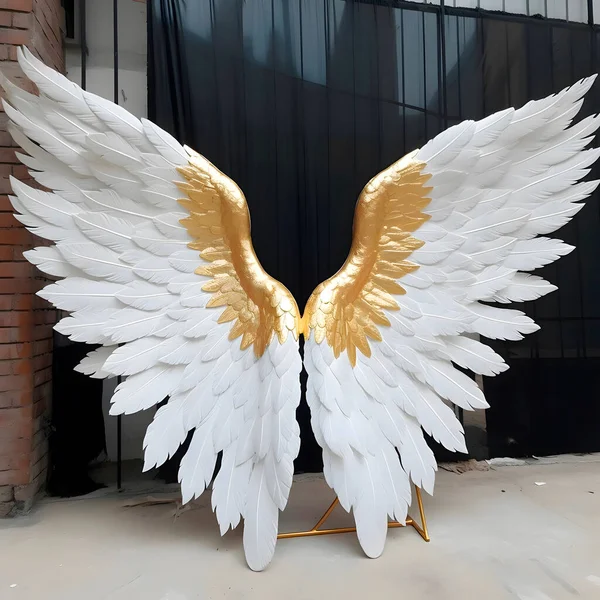 Golden and white wing