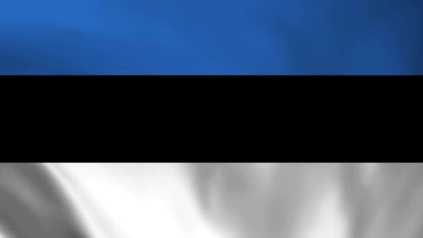 Estland Nationell Flagga Sömlös Loop Animering Estoniaflaggan Realytisk Flaggvideoanimation — Stockvideo