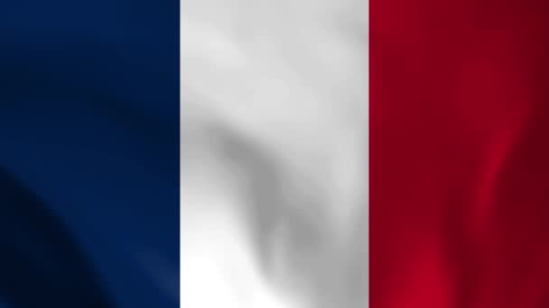 Vlag Van Frankrijk Naadloze Lus Animatie Van Franse Vlag Realystische — Stockvideo