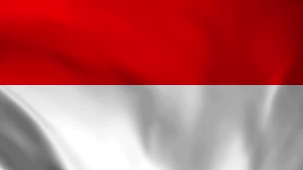 Flaga Narodowa Indonezji Płynna Animacja Pętli Flagi Indonezji Realistyczna Animacja — Wideo stockowe