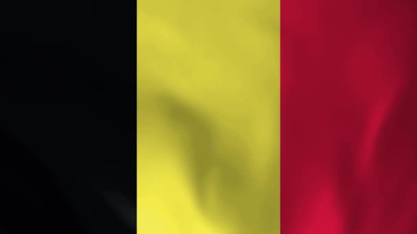 Belgium National Flag Seamless Loop Animation Belgium Flag Realystic Flag — Stock Video