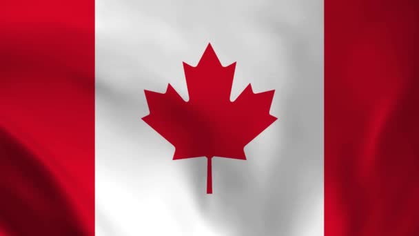 Kanadas Flagga Sömlös Loop Animation Kanadas Flagga Realytisk Flaggvideoanimation — Stockvideo
