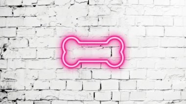 Işıldayan, neon köpek kemiğinin tuğla beyaz duvardaki simgeye vuruşunun video görüntüleri. Lazer Pictogram animasyonu. Kusursuz döngü. 4k video.