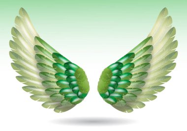 realistic rainbow angel wings isolated - 3d illustration clipart