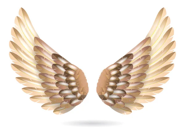Realistická Duhová Andělská Křídla Izolovaná Ilustrace — Stockový vektor