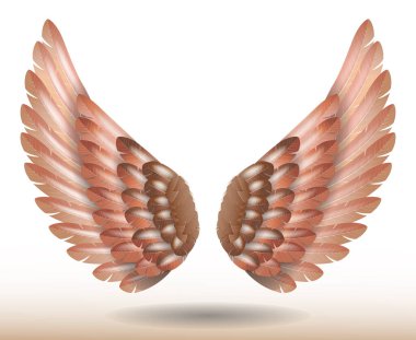 realistic rainbow angel wings isolated - 3d illustration clipart