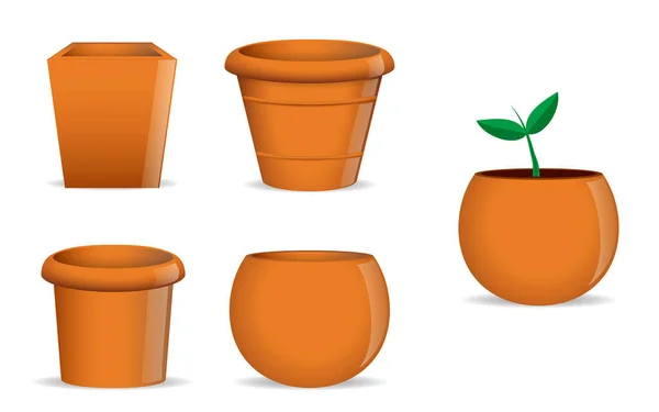 Set Realistic Empty Flower Pot Terra Cotta Flower Pot Young — Stock Photo, Image