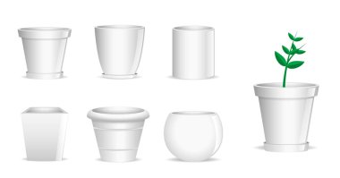 Saksıdaki Bir Bitkinin Büyüme Aşamalarının Resmini Ayarla 