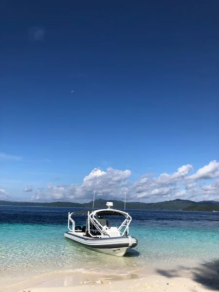 Fall landscape with trees and leaves at the beach, Raja Ampat, Indonesia