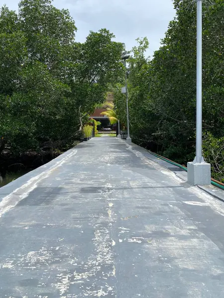 Fall landscape with trees and leaves at the beach, Raja Ampat, Indonesia
