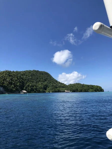 Fall landscape with trees and leaves at the beach, Raja Ampat, Indonesia