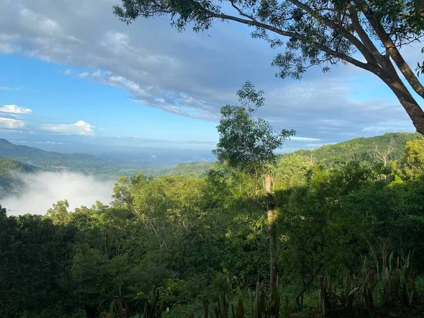 Fall landscape with trees and leaves at the beach, Raja Ampat, Indonesia