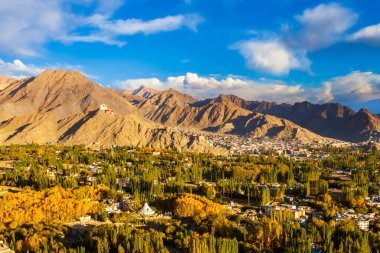 Ladakh şehrinin Panorama manzarası günbatımında Leh Sarayı 'nın zirvesinden güzel manzara. Bulutlu ve ağaçlı mavi gökyüzü. Sarı sedir ağaçlı şehir manzarası. Arka planda bir dağ..