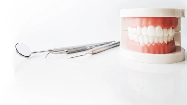 Primer Plano Del Modelo Dientes Dientes Del Instrumento Equipo Dental — Foto de Stock