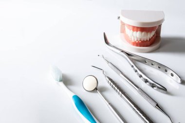 Close up of Tooth or teeth model and dental instrument or equipment on white clean table inside dental clinic in hospital.Dental mouth mirror,Gigival separator and probe for toothache or Orthodontic. clipart