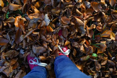 Sonbahar, sonbahar, yapraklar, bacaklar ve ayakkabılar. Sonbahar yapraklarındaki kırmızı spor ayakkabılı bacakların kavramsal görüntüsü. Doğada yürüyen ayaklar.