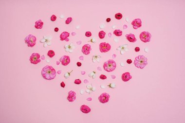 Düz uzanmış, pembe arka planda çiçek, tomurcuk ve kiraz yaprakları ve erik şeklinde kalp şeklinde yaratıcı bir düzen. Prunus Triloba Louiseania. Anneler Günü, Sevgililer Günü Konsepti.