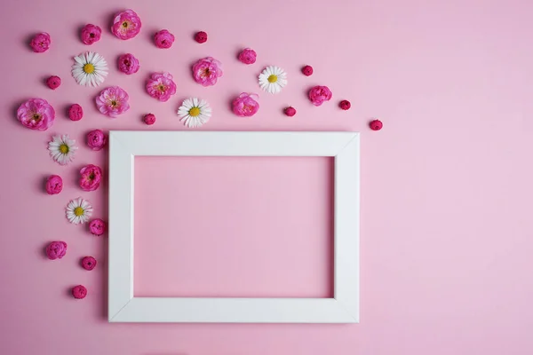 stock image Flat lay, creative layout of blossoms, buds and petals of cherry, plum and daisy flowers with frame on a pink background. Prunus Triloba Louiseania. Mockup for greeting card. Copy space.