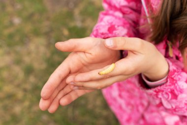 Kızlar korkusuzca avlanmak için bir arı larvası tutuyor. Çocuklarla açık hava eğlencesi, aktif eğlence. Doğada çocuklarla vakit geçirmek. Yakın plan, kopyalama alanı.