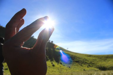 Tree bark and branches of trees on a background of green moss