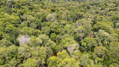 Parque Provincial Salto Encantado, Misiones. Area de consevacion de la Flora y fauna silvestre de Misiones. Salto la Olla y salto encantado.