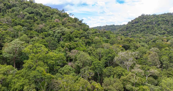 Parque Provincial Salto Encantado, Misiones. Area de consevacion de la Flora y fauna silvestre de Misiones. Salto la Olla y salto encantado.