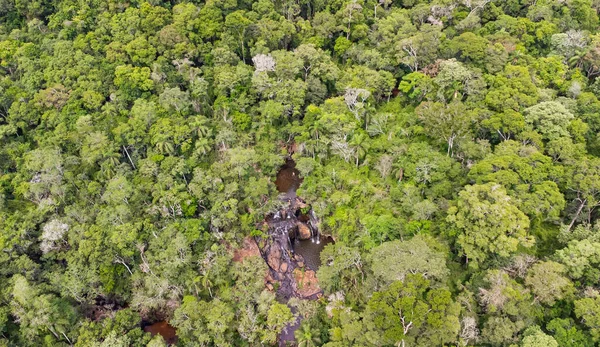 Parque Provincial Salto Encantado, Misiones. Area de consevacion de la Flora y fauna silvestre de Misiones. Salto la Olla y salto encantado.