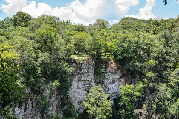 stock image Trail in the jungle of misiones. salto encantado provincial park