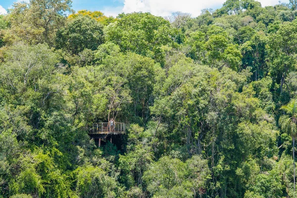 Missione ormanında yol. Salto encantado taşra parkı