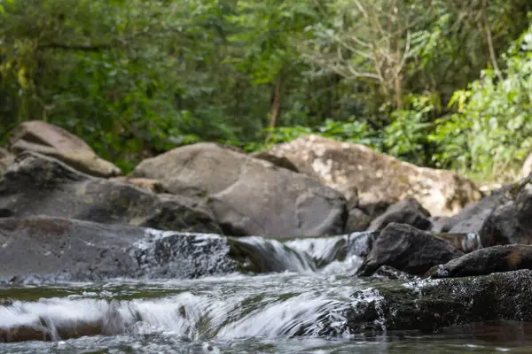 Missione ormanında yol. Salto encantado taşra parkı