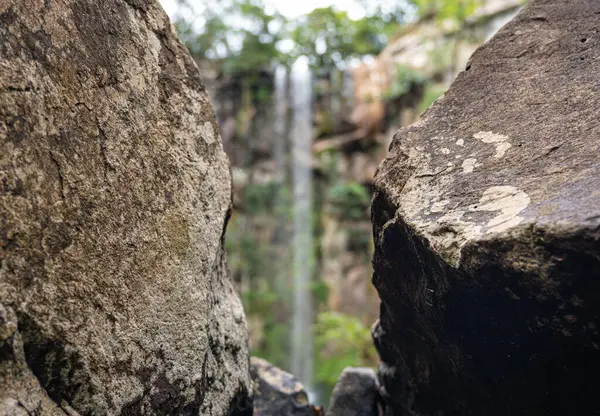 Missione ormanında yol. Salto encantado taşra parkı