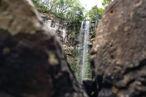 Missione ormanında yol. Salto encantado taşra parkı