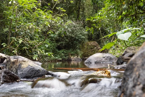 Missione ormanında yol. Salto encantado taşra parkı