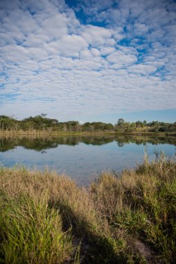 Natureza no ceu do Urbanova, Sao Jose dos Campos, Sao Paulo, Brasil