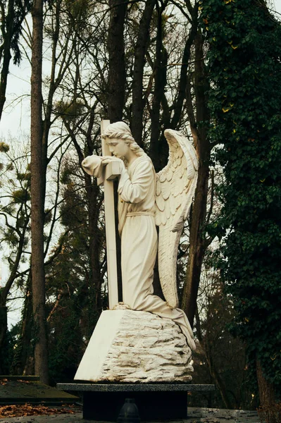 Статуя Ангела Кладбище — стоковое фото