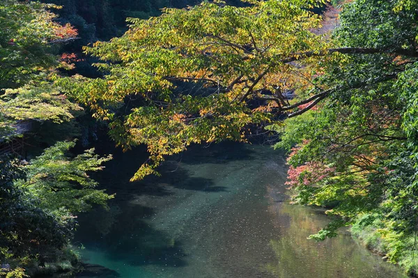 Kyoto Japão Outubro 2022 Bela Cena Outono Longo Rio Kiyotaki — Fotografia de Stock