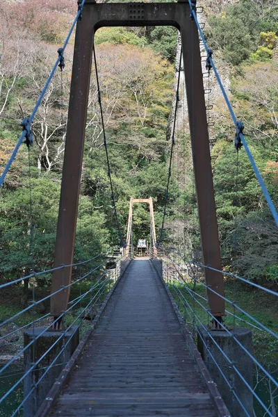 島根県 2022年11月8日 島根県立江渓谷の神戸川に架かる古代橋 — ストック写真