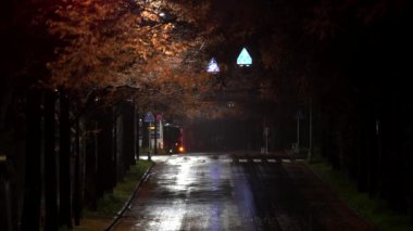 Tokyo, Japonya - 6 Aralık 2022: Tokyo 'da yağmurlu bir gecede Dawn Redwood veya Metasequoia glyptostroboides ağaçlarıyla sokakta koşan bir otobüs